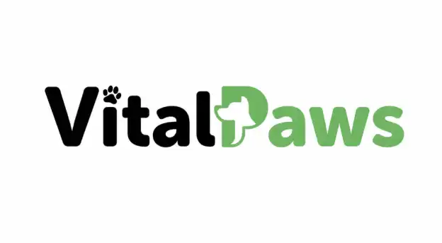 UGC Affiliate Program with DOG - VitalPaws
