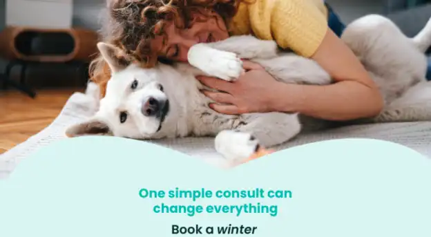 Your Senior Pet s Best Life this Winter