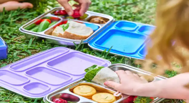 Create Authentic UGC Content for Oli Eve Stainless Steel Lunchboxes