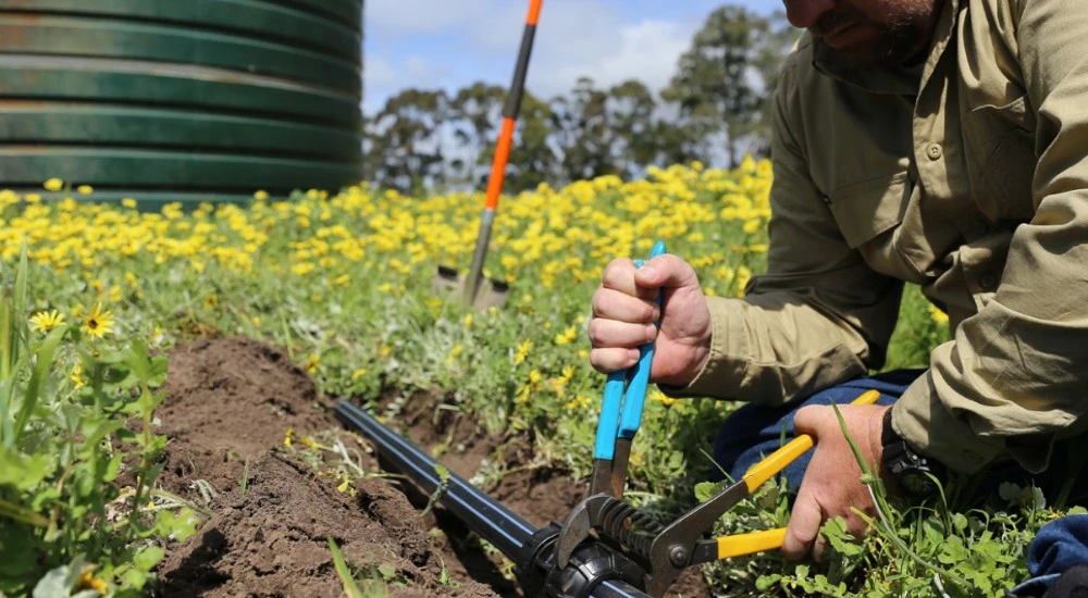 Create Authentic UGC Licensed Plumbing Content for Australia s Valve & Fitting Superstore