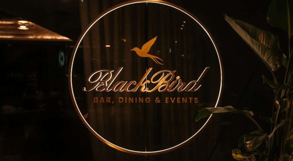 Capture the Blackbird Experience UGC Creators Wanted