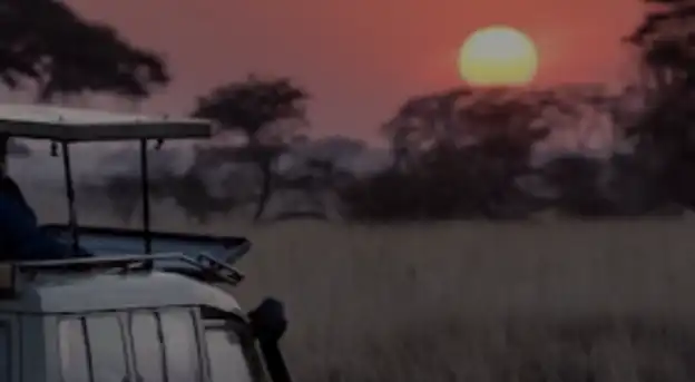 Mystery Travel Creator Fully Hosted Adventure