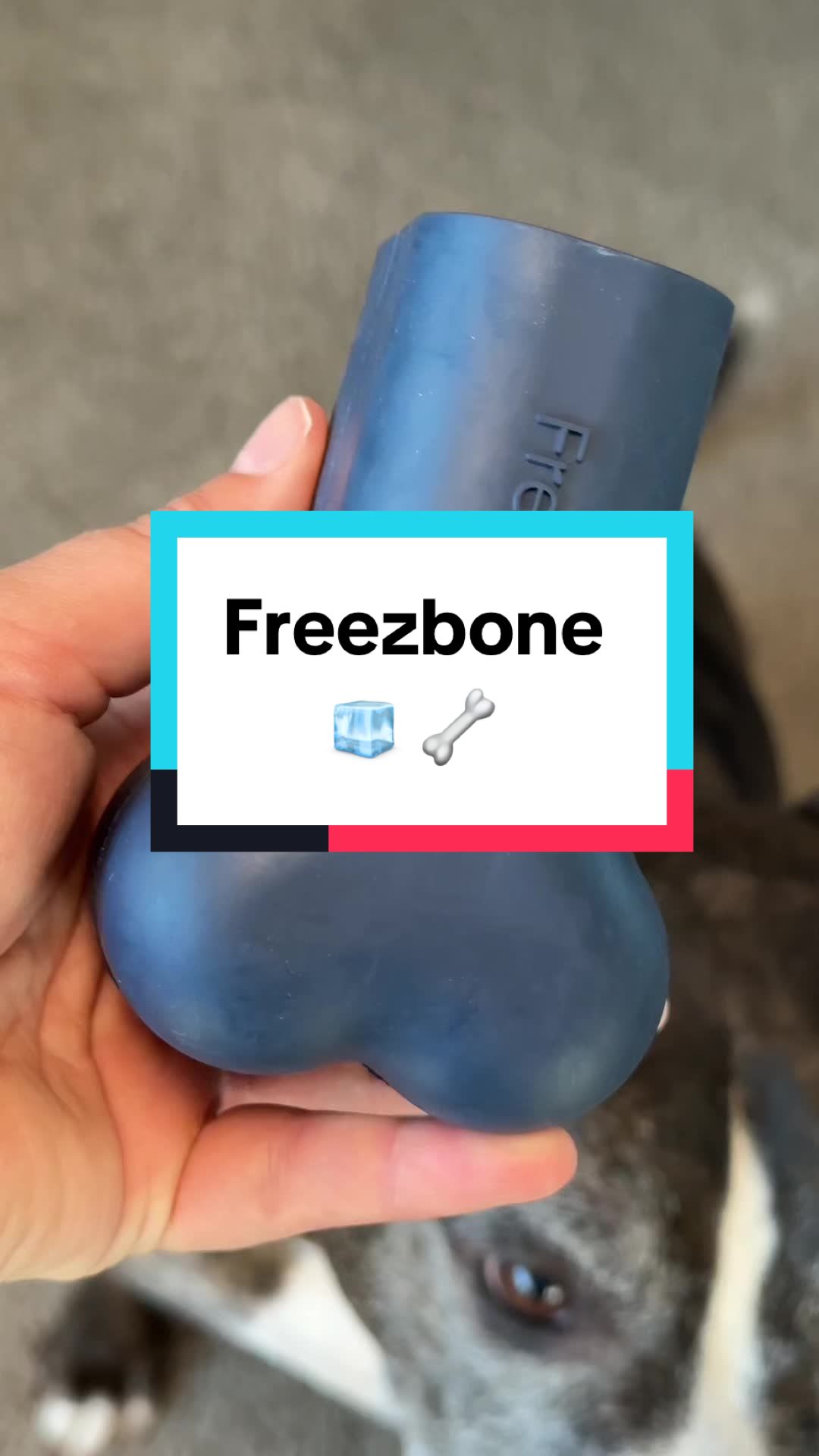 Freezbone TTS