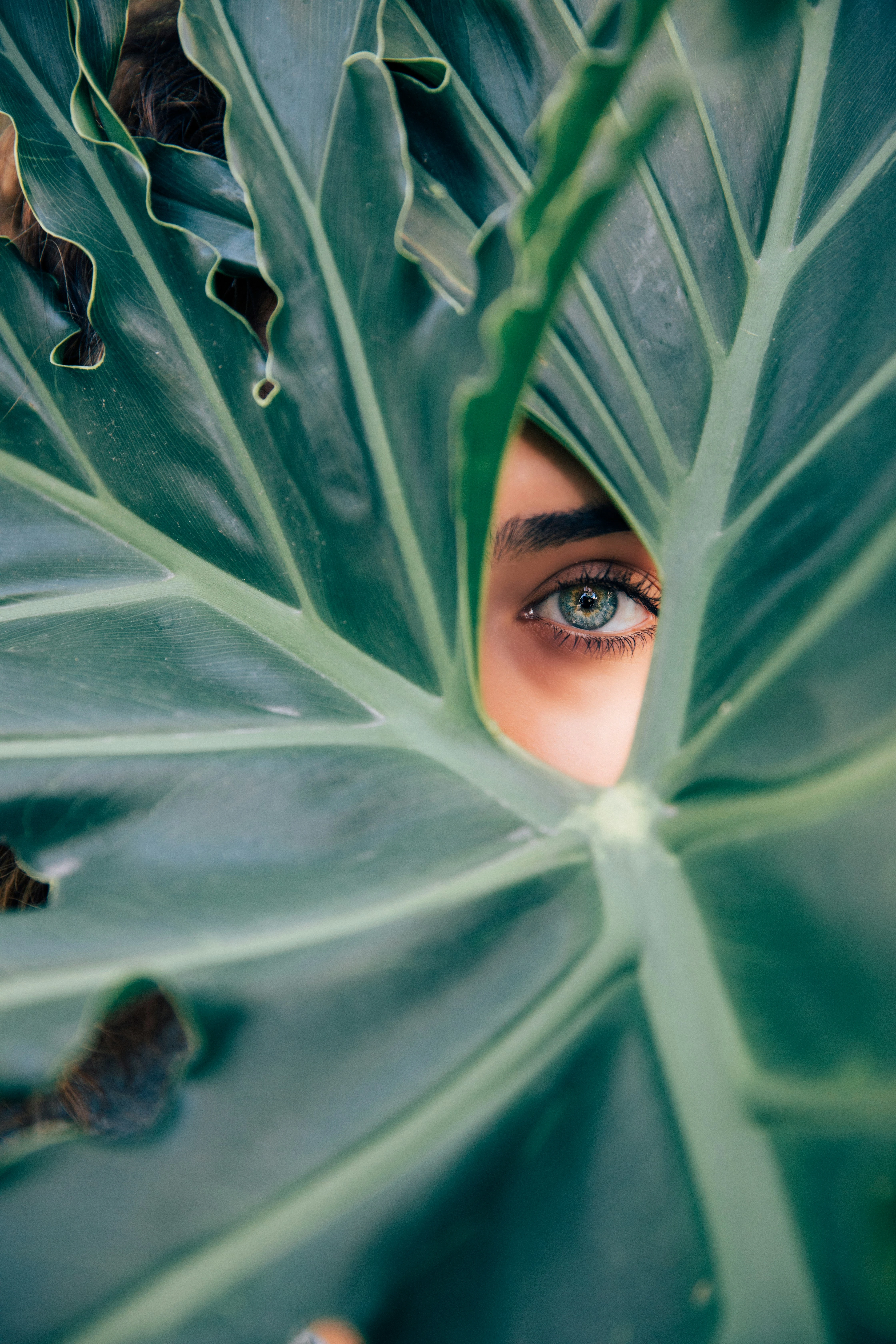 Leafy