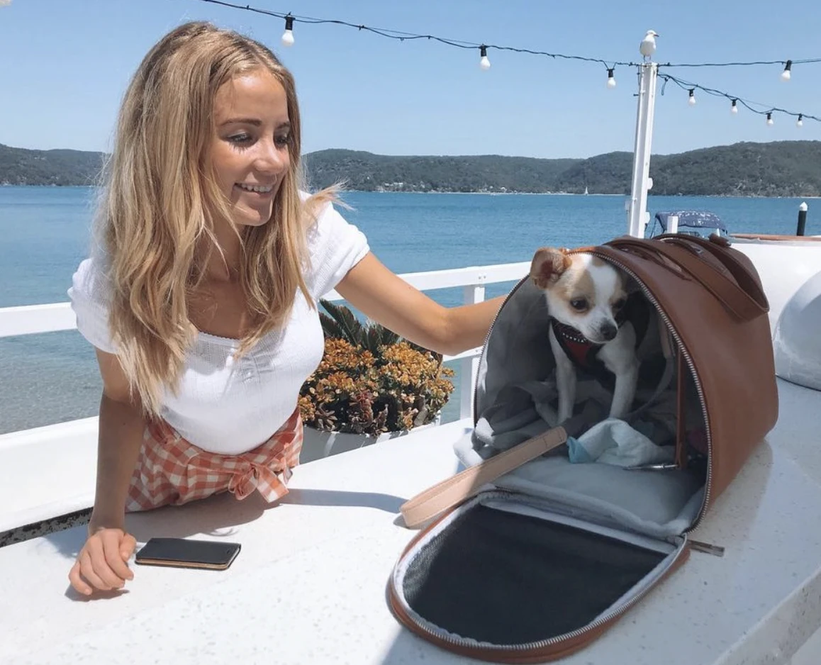 Pet Carrier Bag
