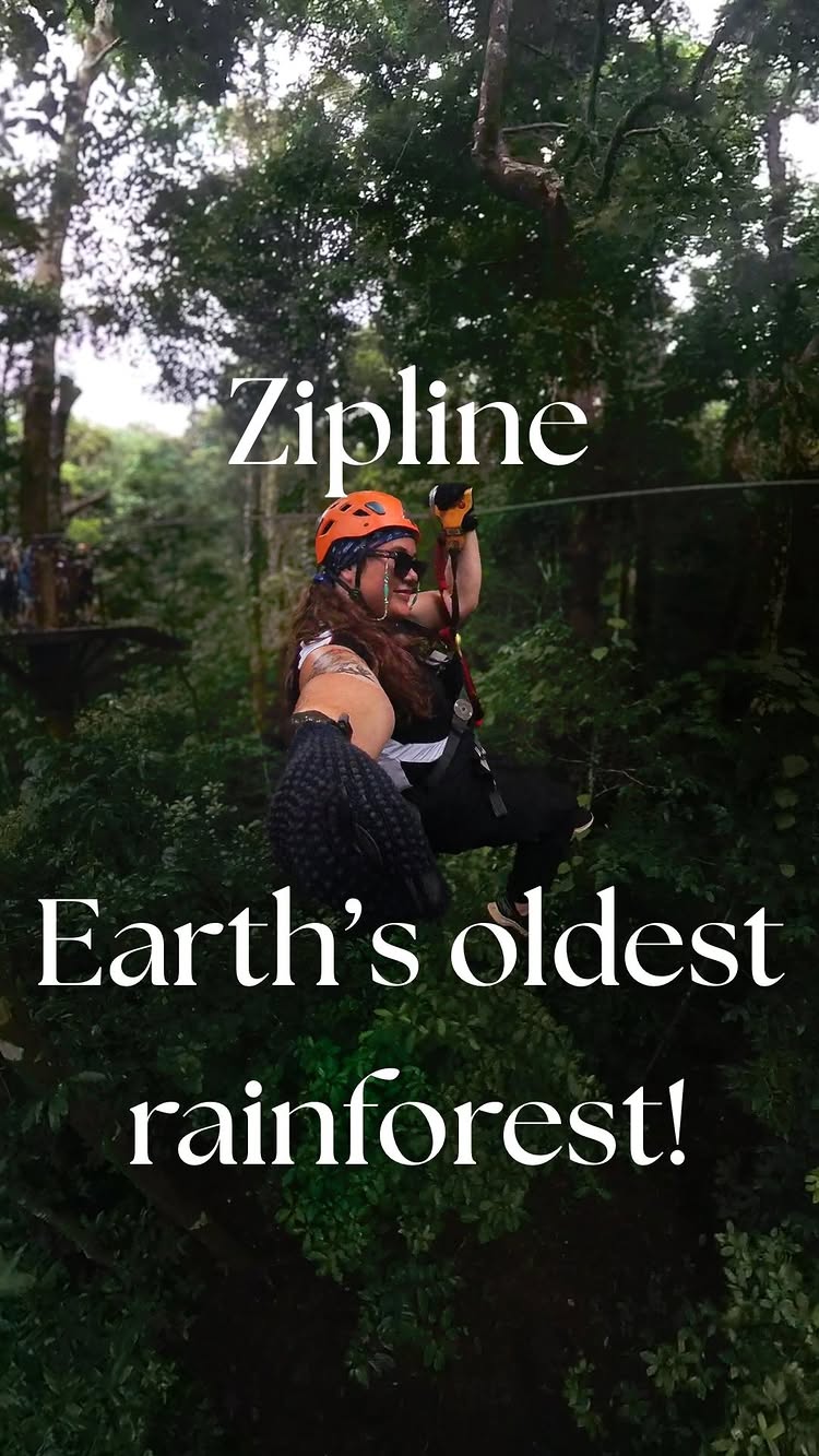 FNQ Adventure Content – Tree Tops Jungle Surfing