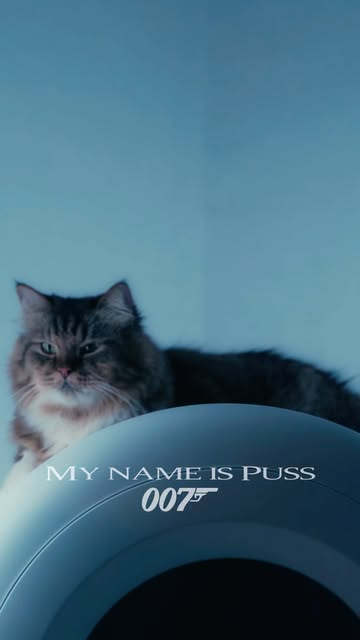 Petkit Purobot Smart Toilet For Cats With AI Powered
