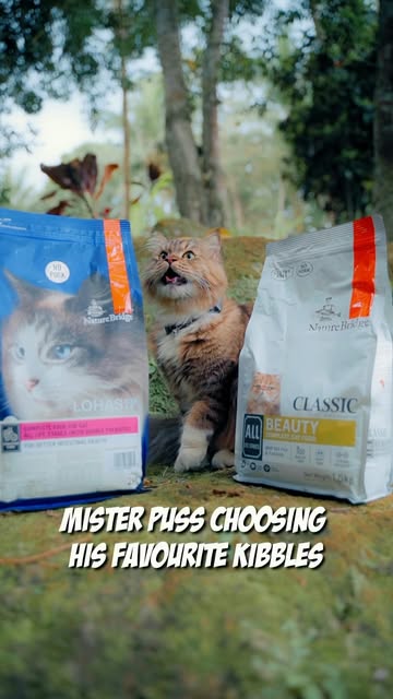 Nature Bridge High performance dry food