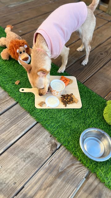 Frosty Paws Paw-Cuterie Pet-Friendly Charcuterie Board