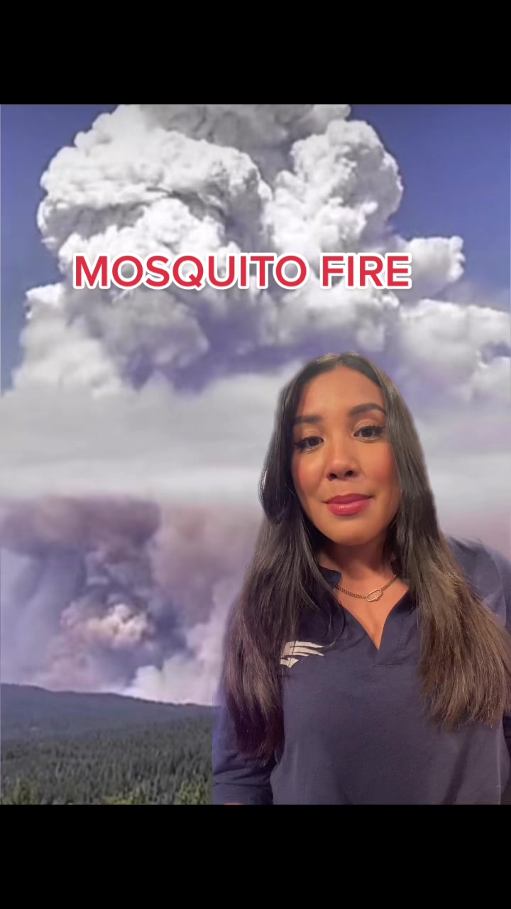 Viral Environmental Tik Tok