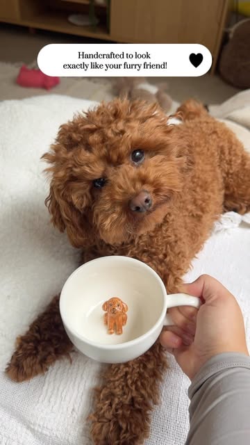 Customisable Pet Mug