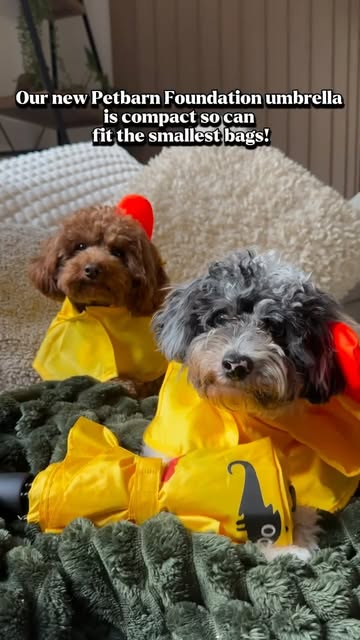 PetBarn