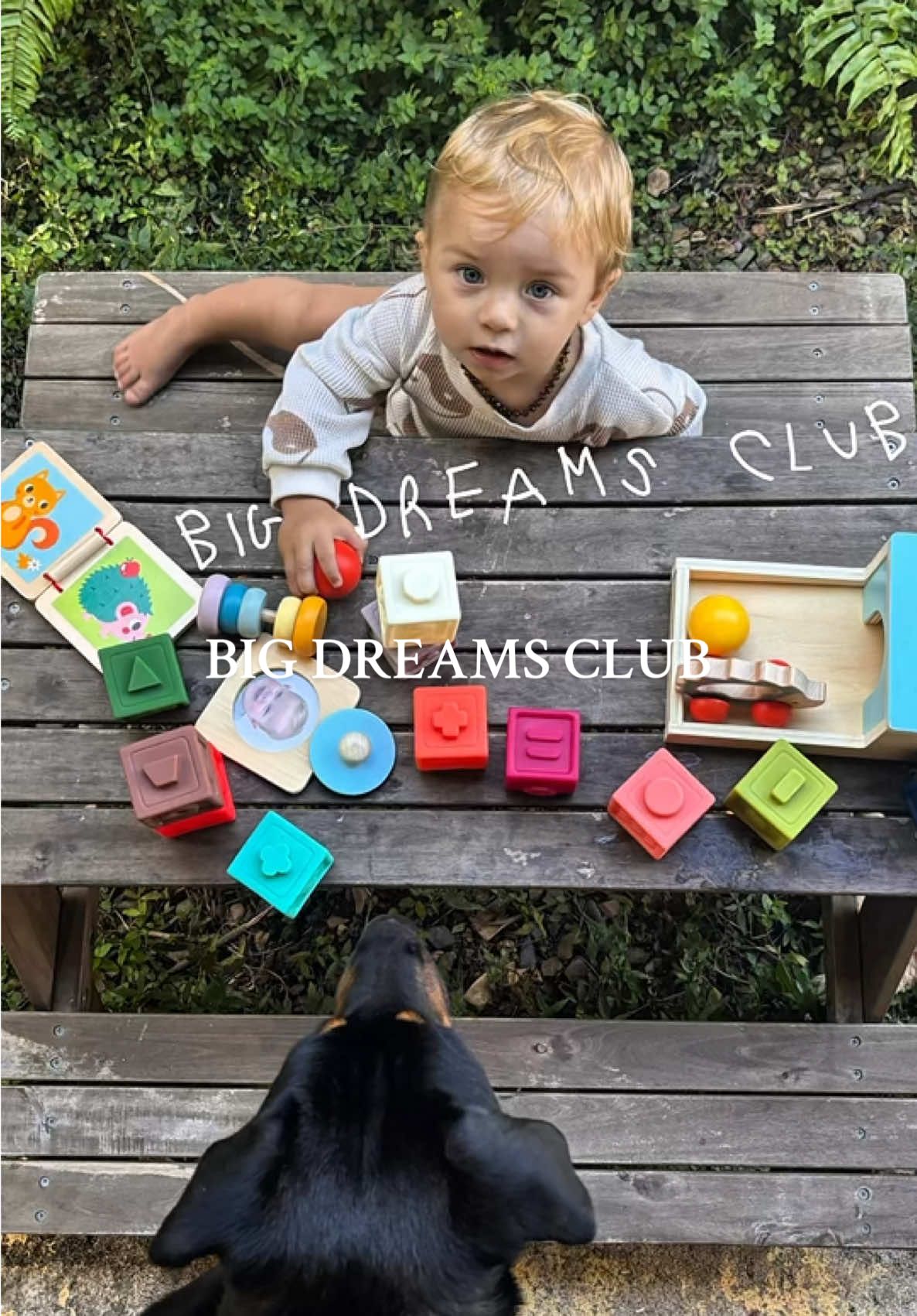 Big dreams club
