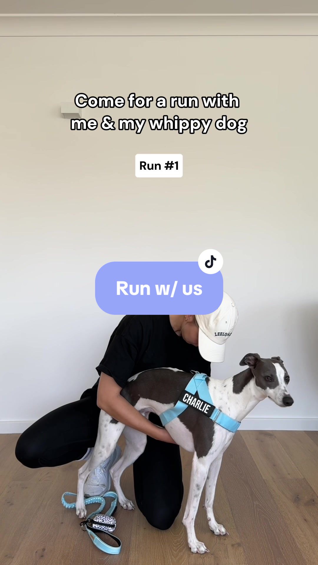 Dog Friendly Co