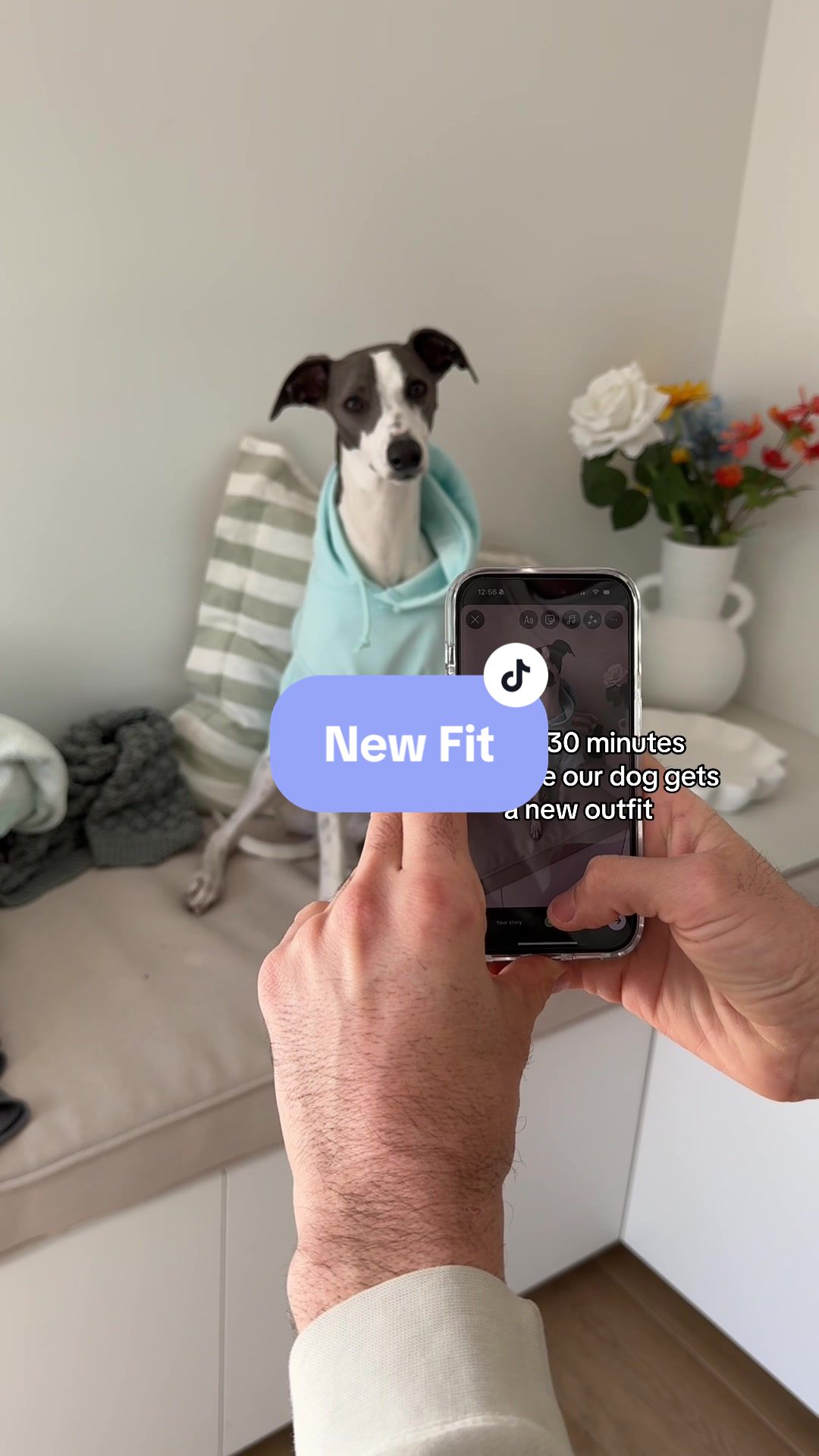 Dog Friendly Co Collaboration