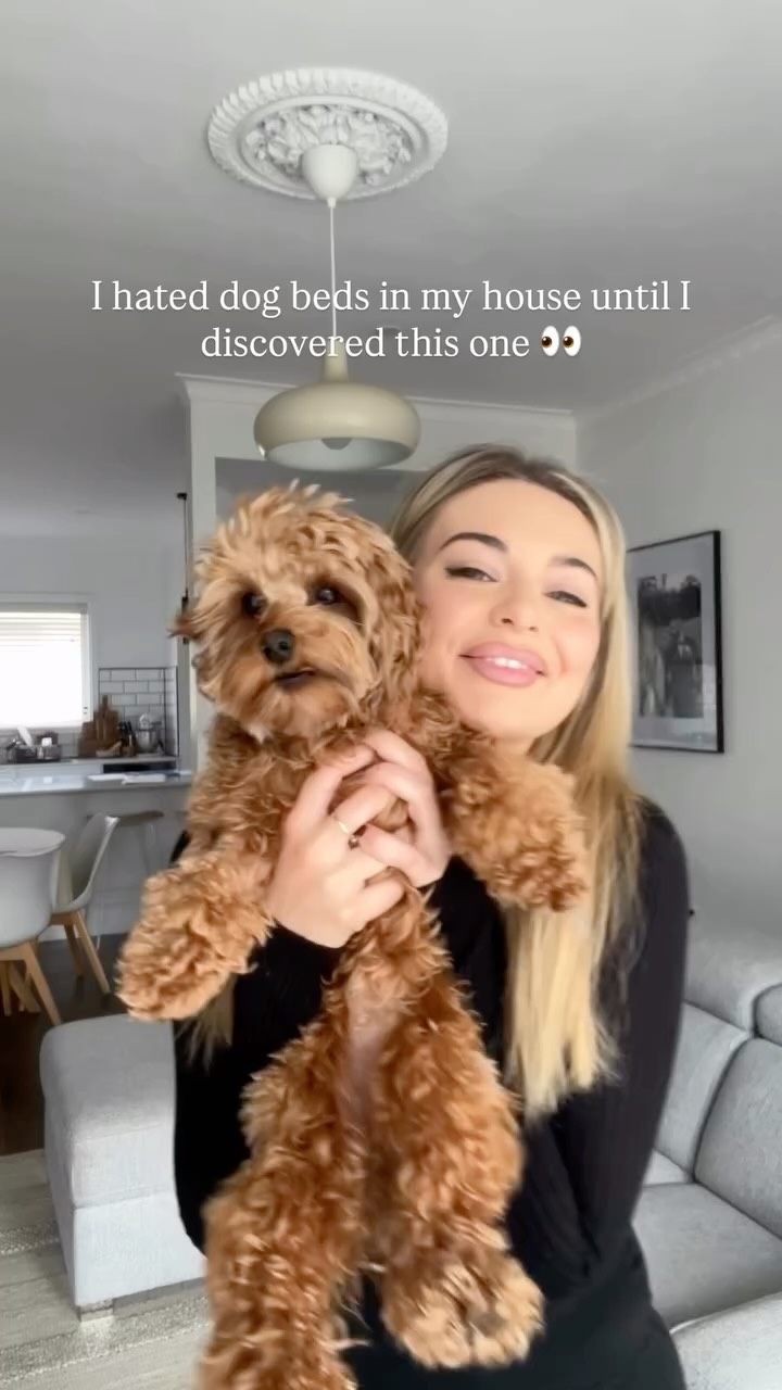 Pet Brands Love Us