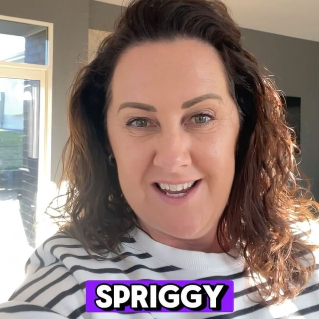 Spriggy