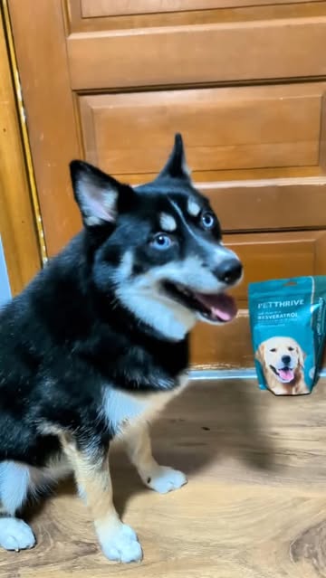PetThrive