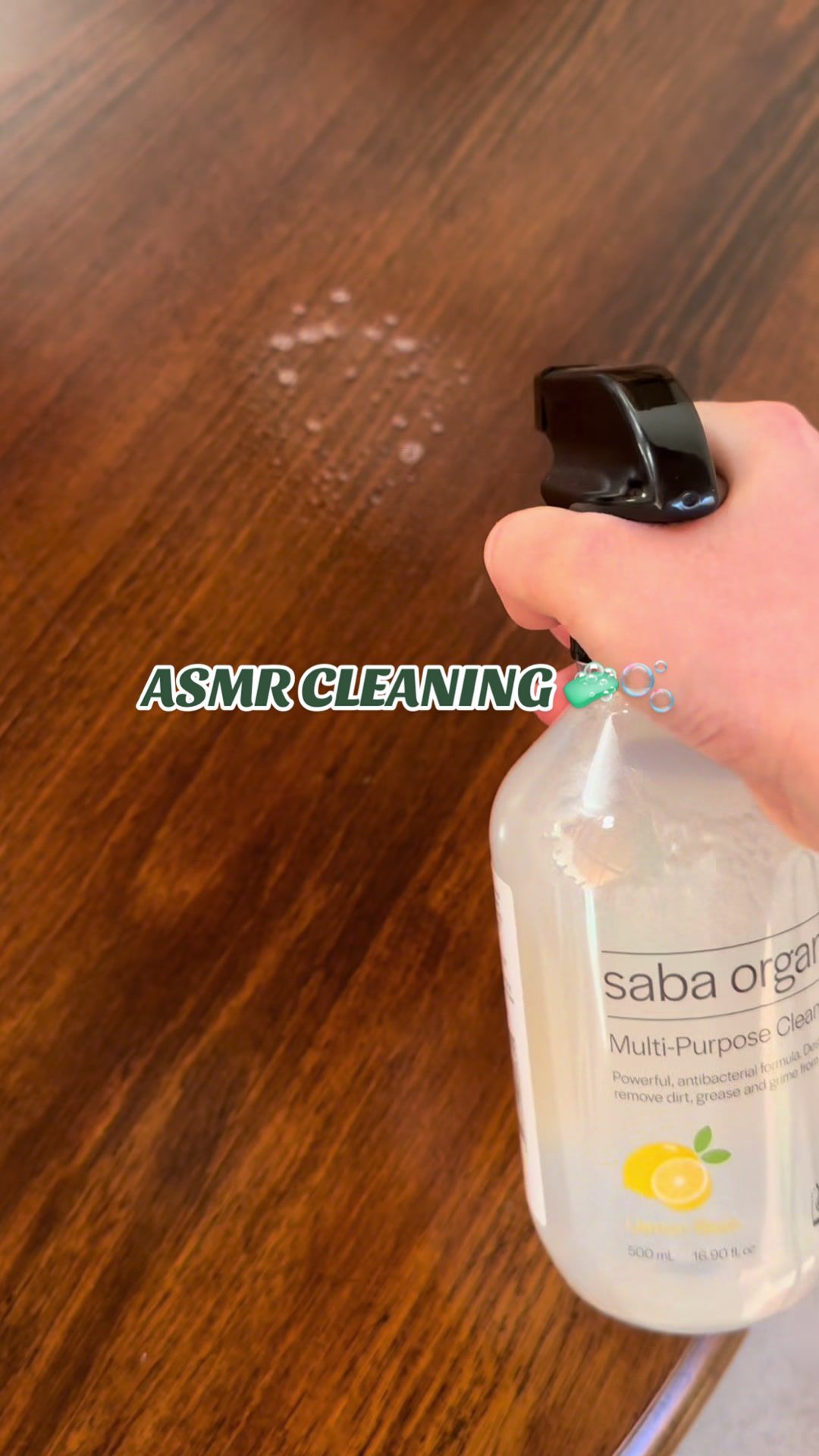 ASMR Cleaning