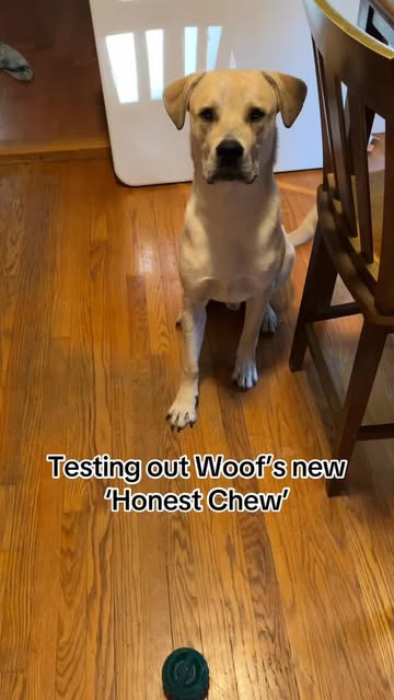 Woof Honest Chew
