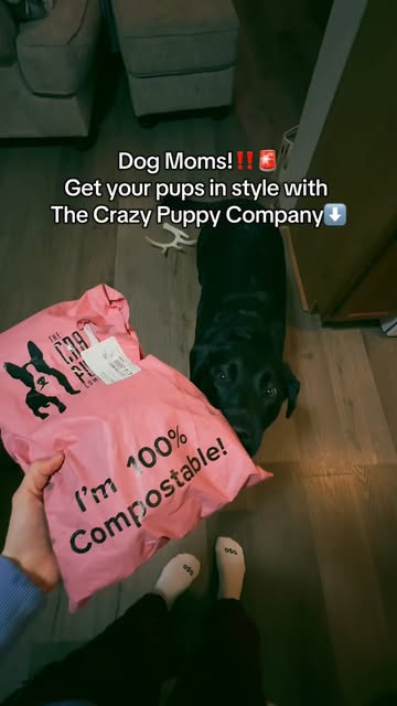 The Crazy Puppy Company
