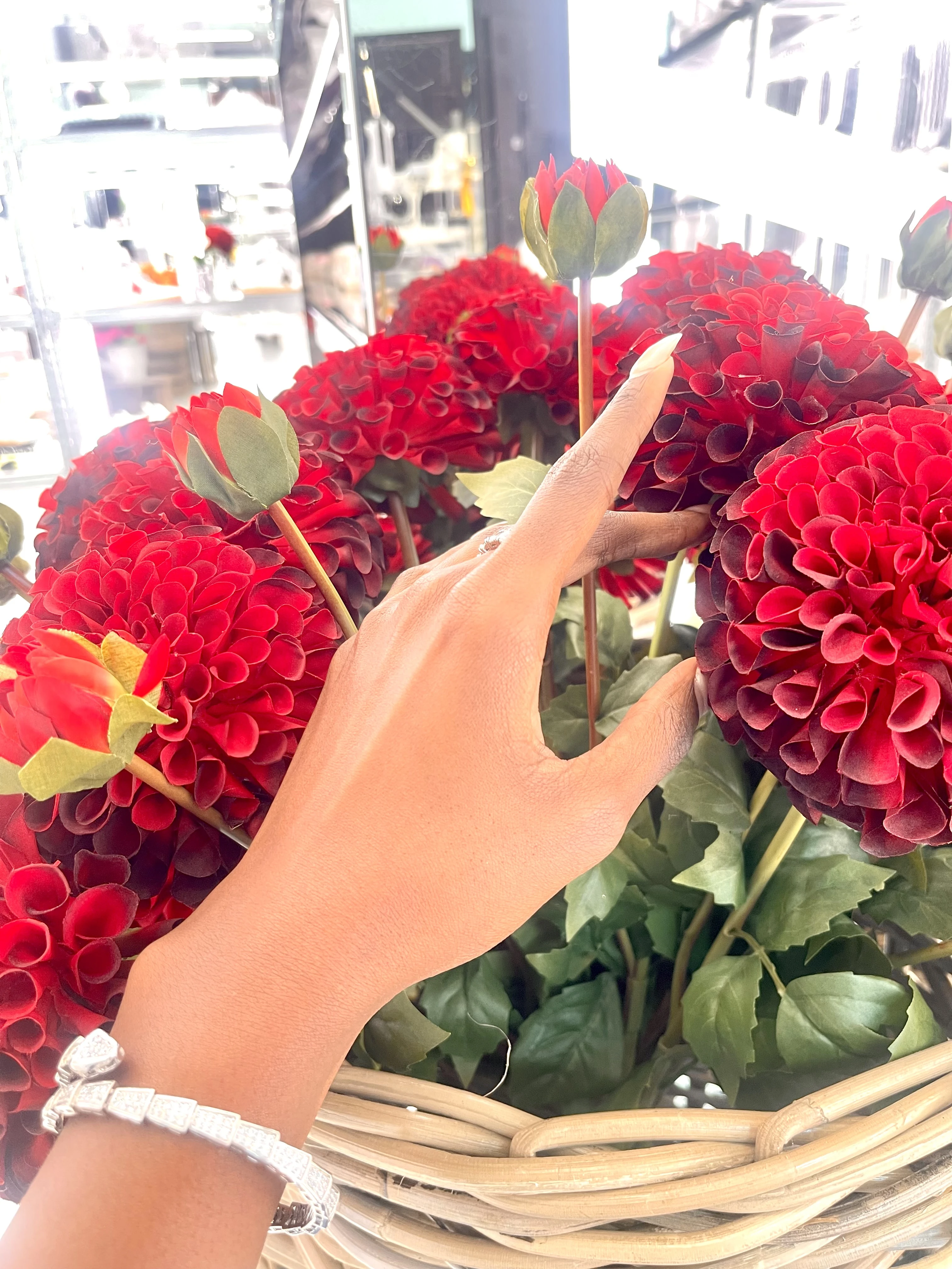 Red Roses