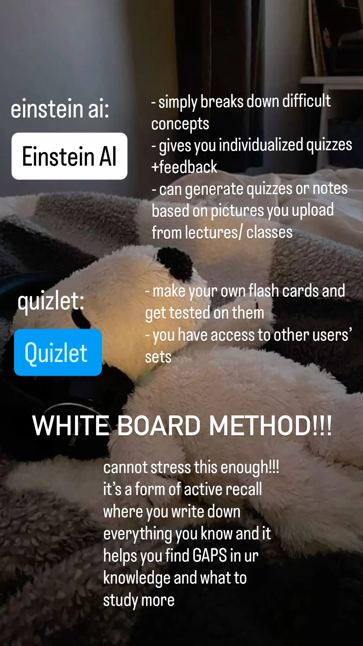 Quizlet & Einstein Ai