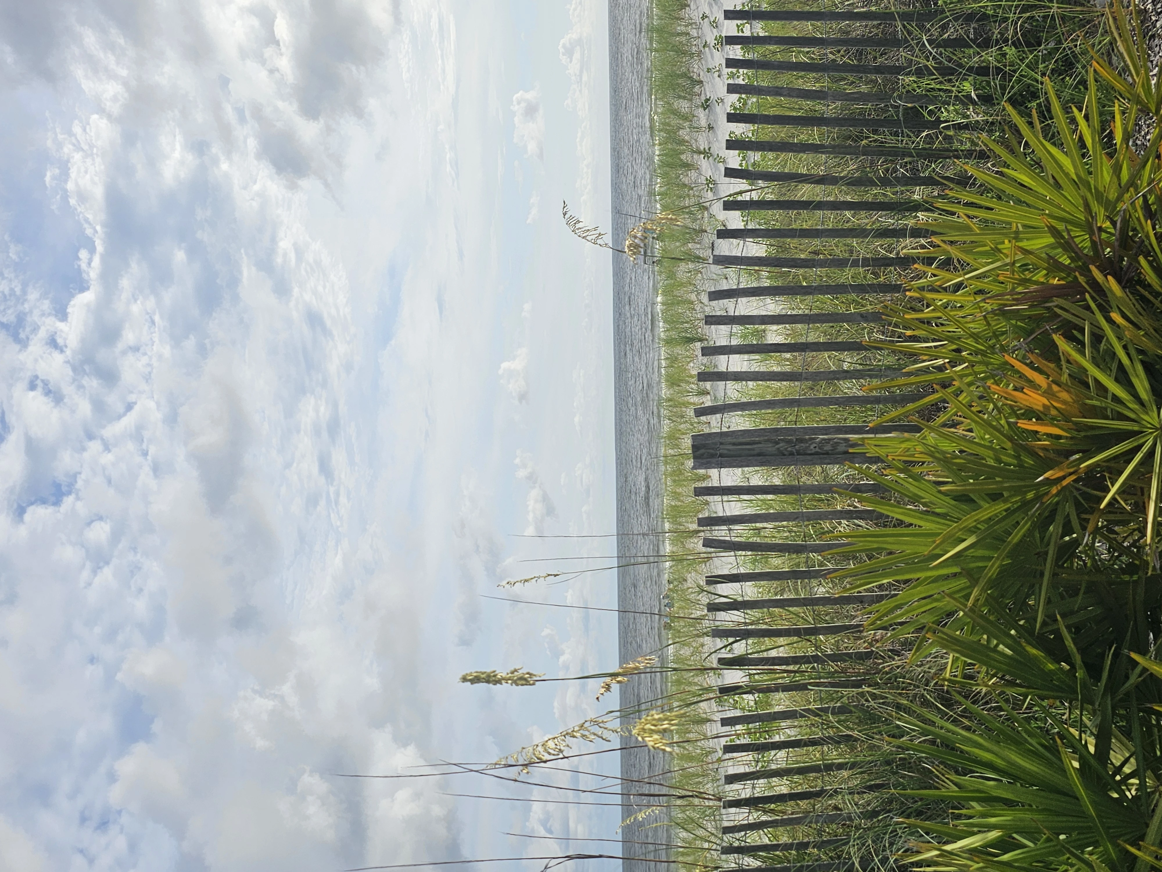 Beautiful Mexico Beach
