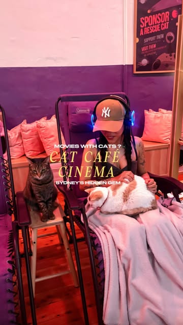 CATMOSPHERE CAT CAFE