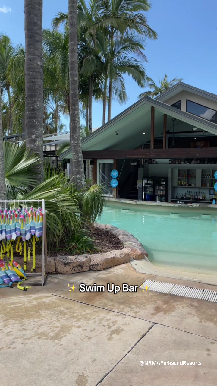 Blue Dolphin Yamba - Travel / Experience