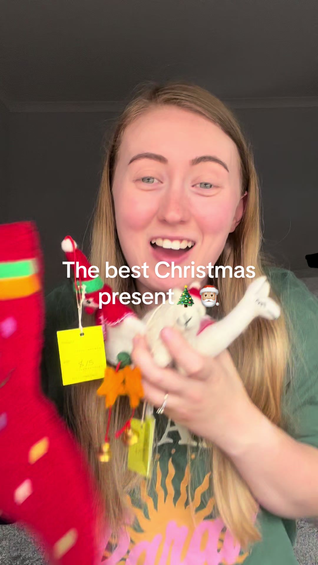 Yak and Cow Christmas decorations