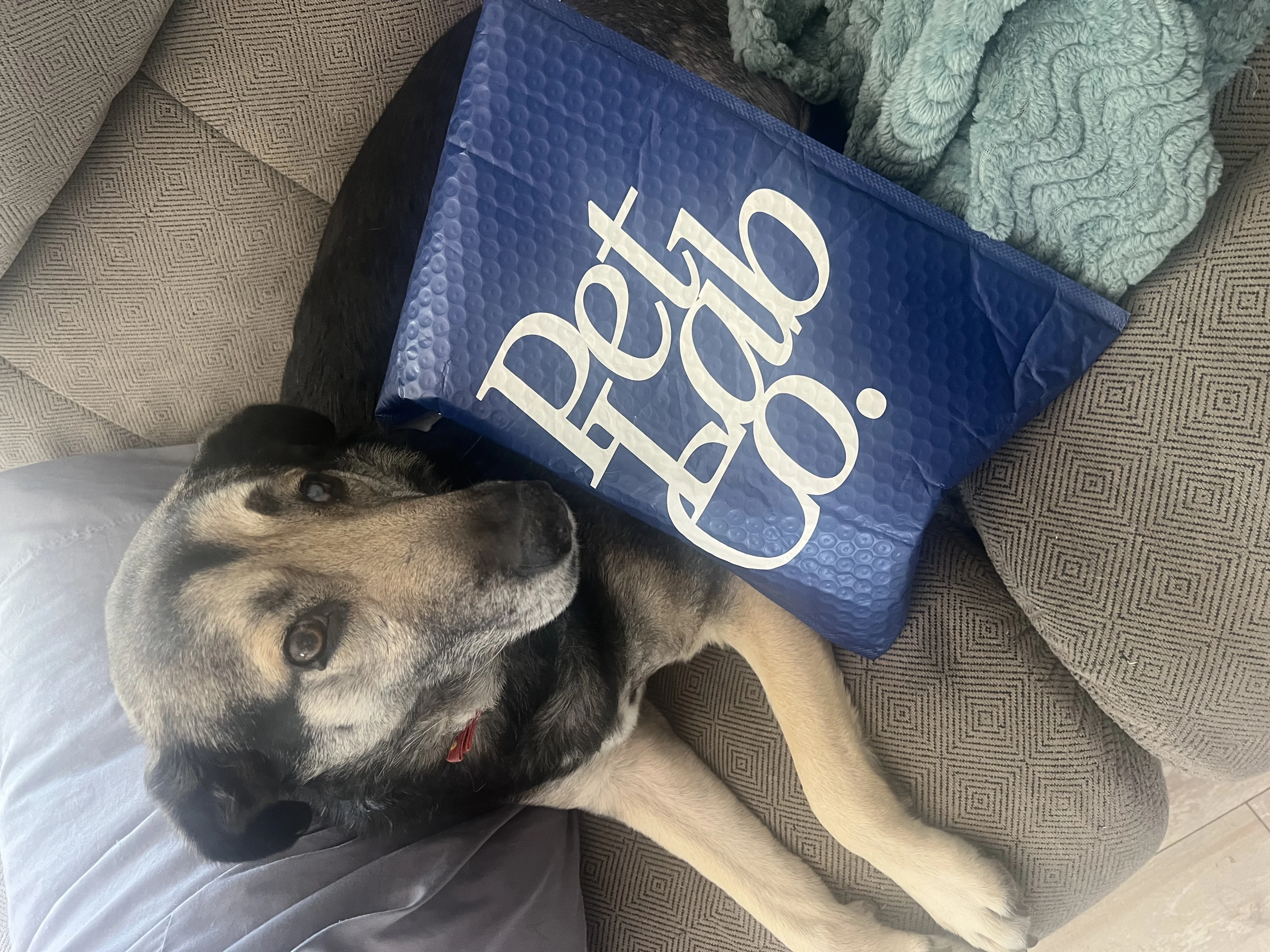 Pet Lab Co