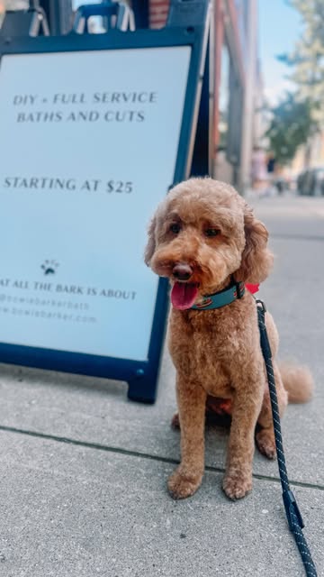 Bowie Barker