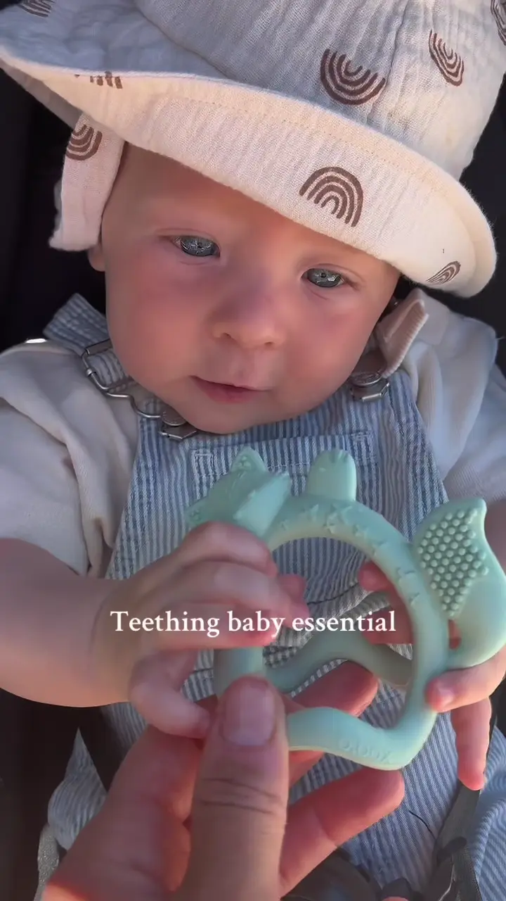 Bbox teething Toy