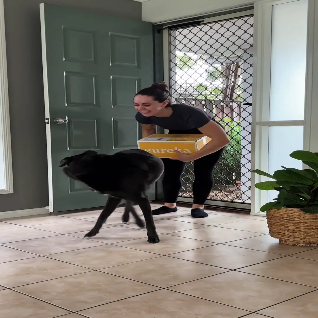 Eureka Pet Food