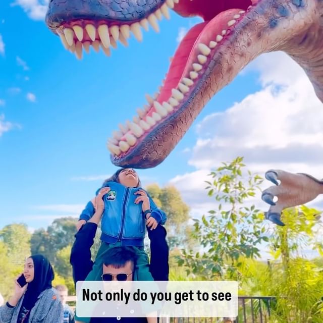 Sydney Zoo Paid Collaboration