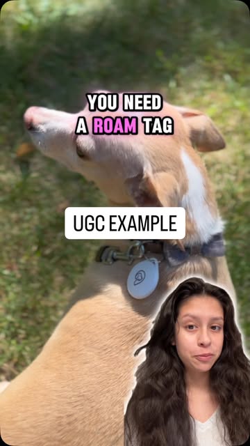 Pet UGC Example