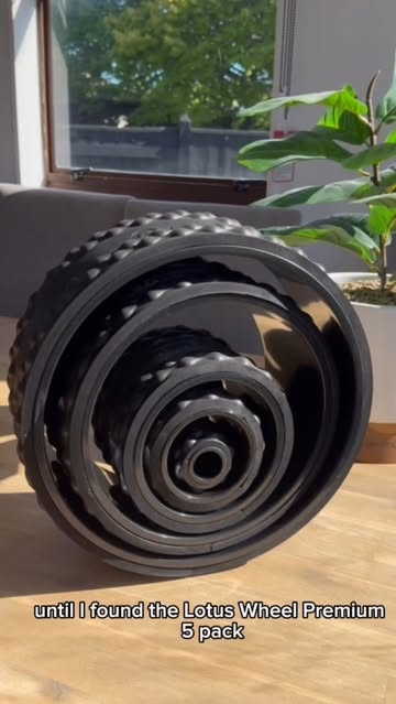 The Lotus Wheel