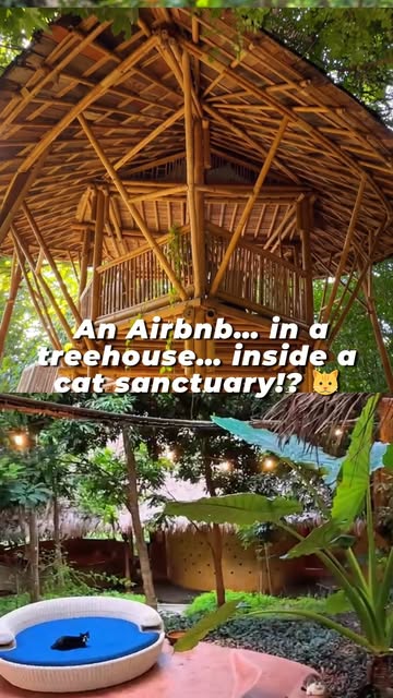 Airbnb