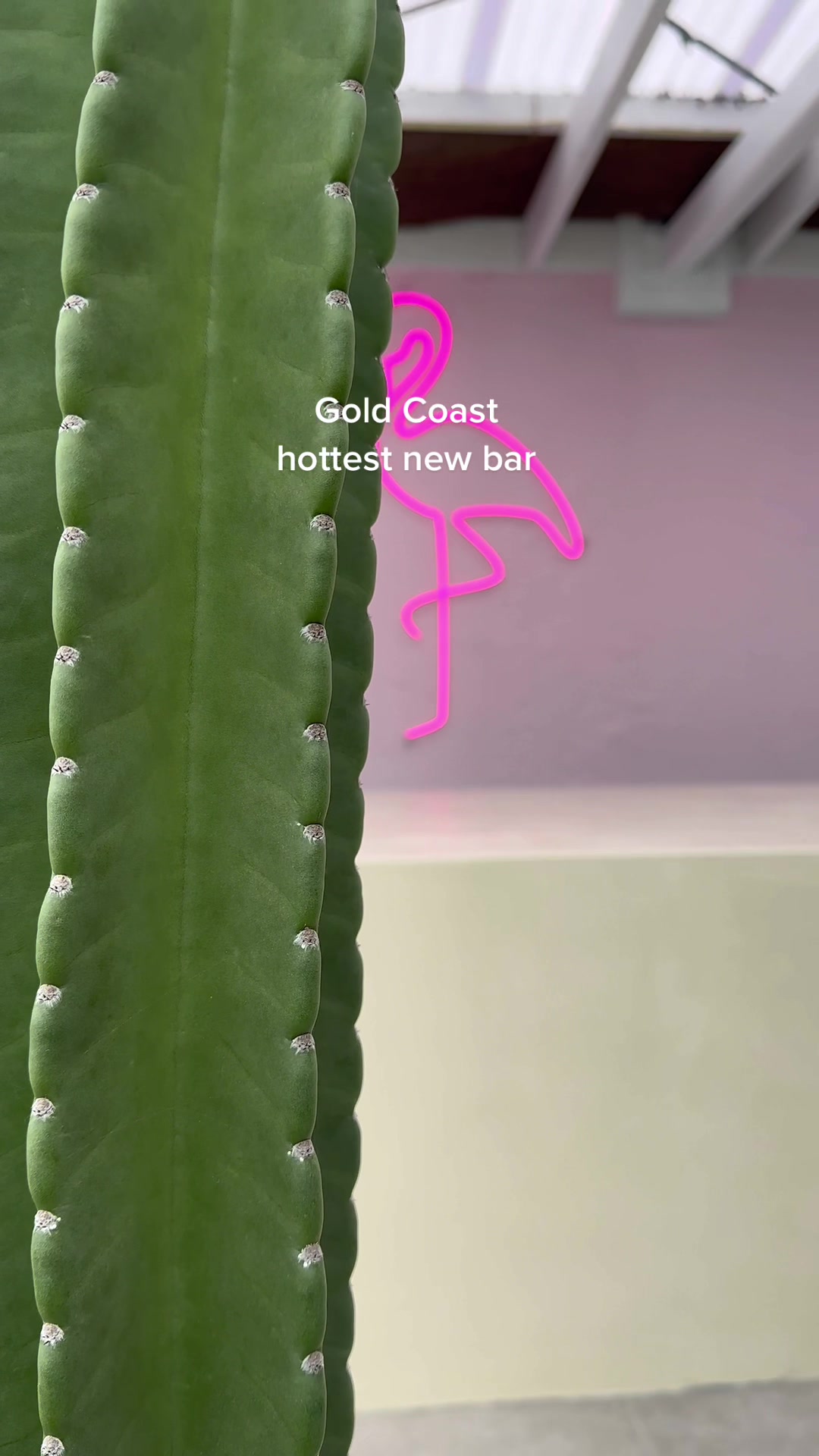 Tropic Vice