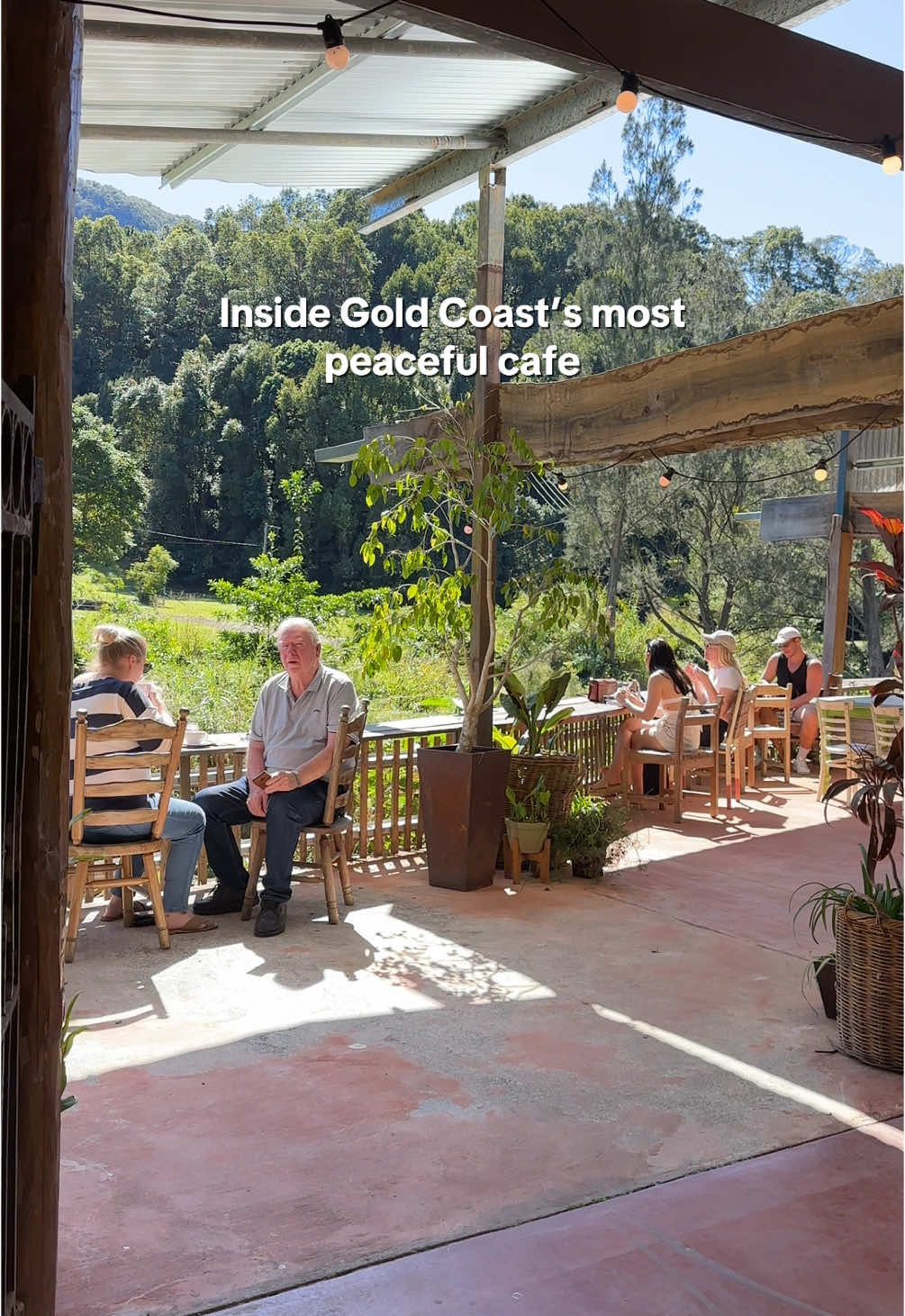 Currumbin Valley Harvest