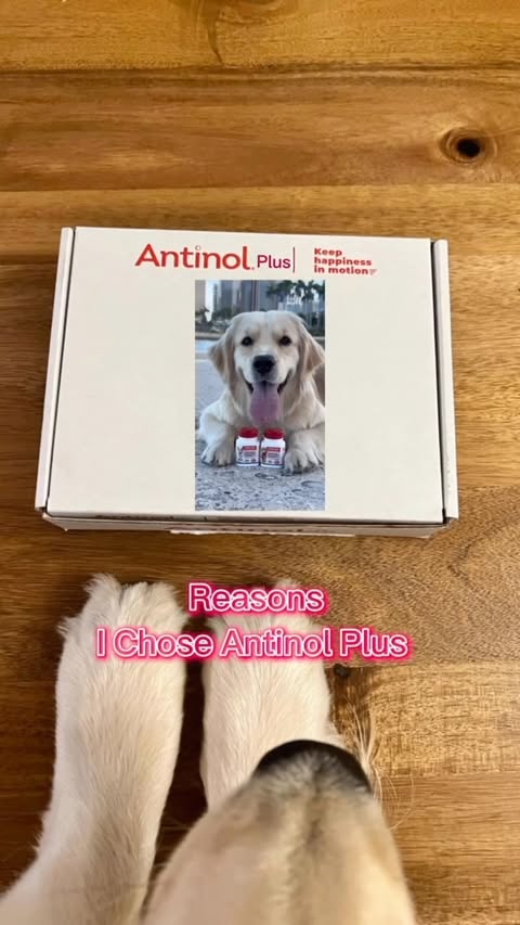 Antinol Plus