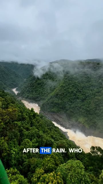 Skyrail Rainforest Cairns