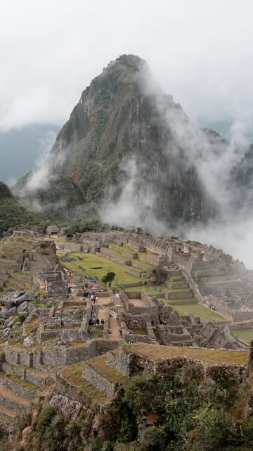 InsureMyTrip UGC Campaign