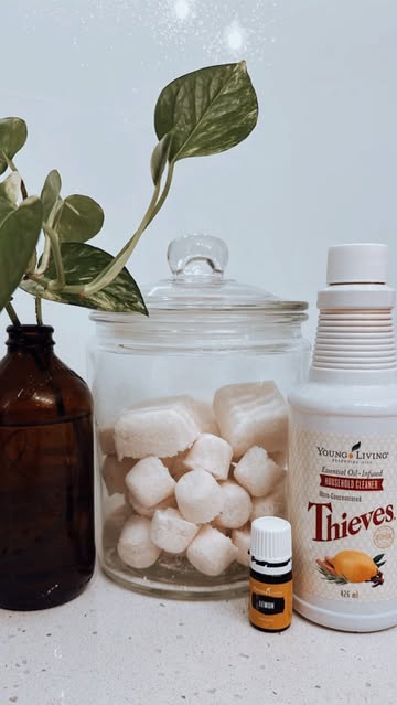 Home made dishwasher tablets