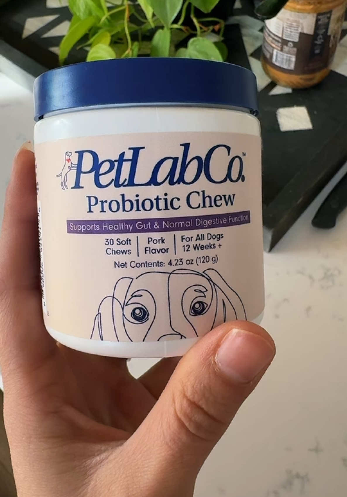 Pet labs
