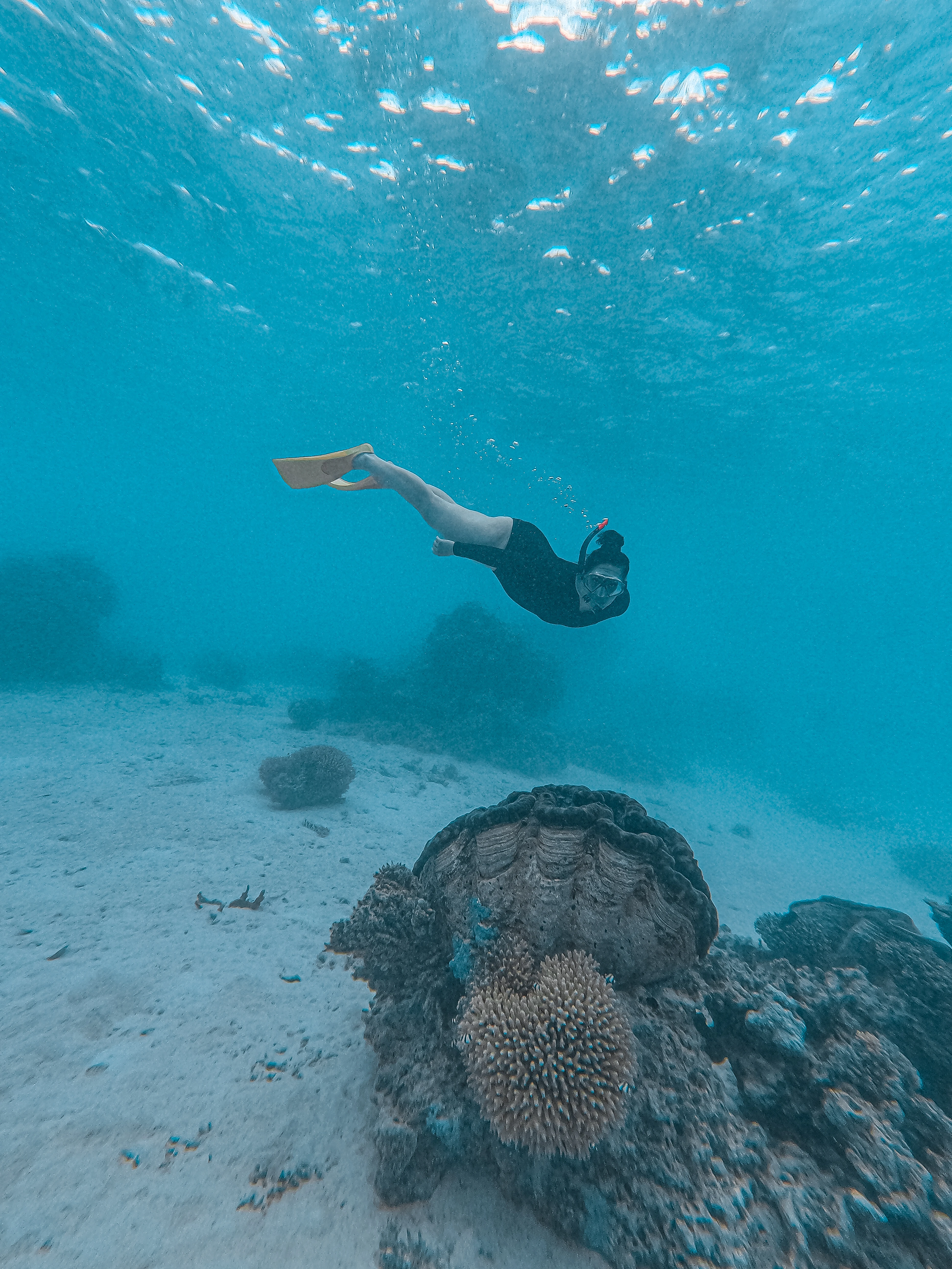 Get Your Guide - Travel Experiences on a day trip in Aitutaki