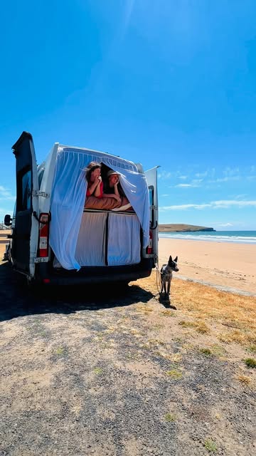 Living in a Bubble Magnetic Flyscreens