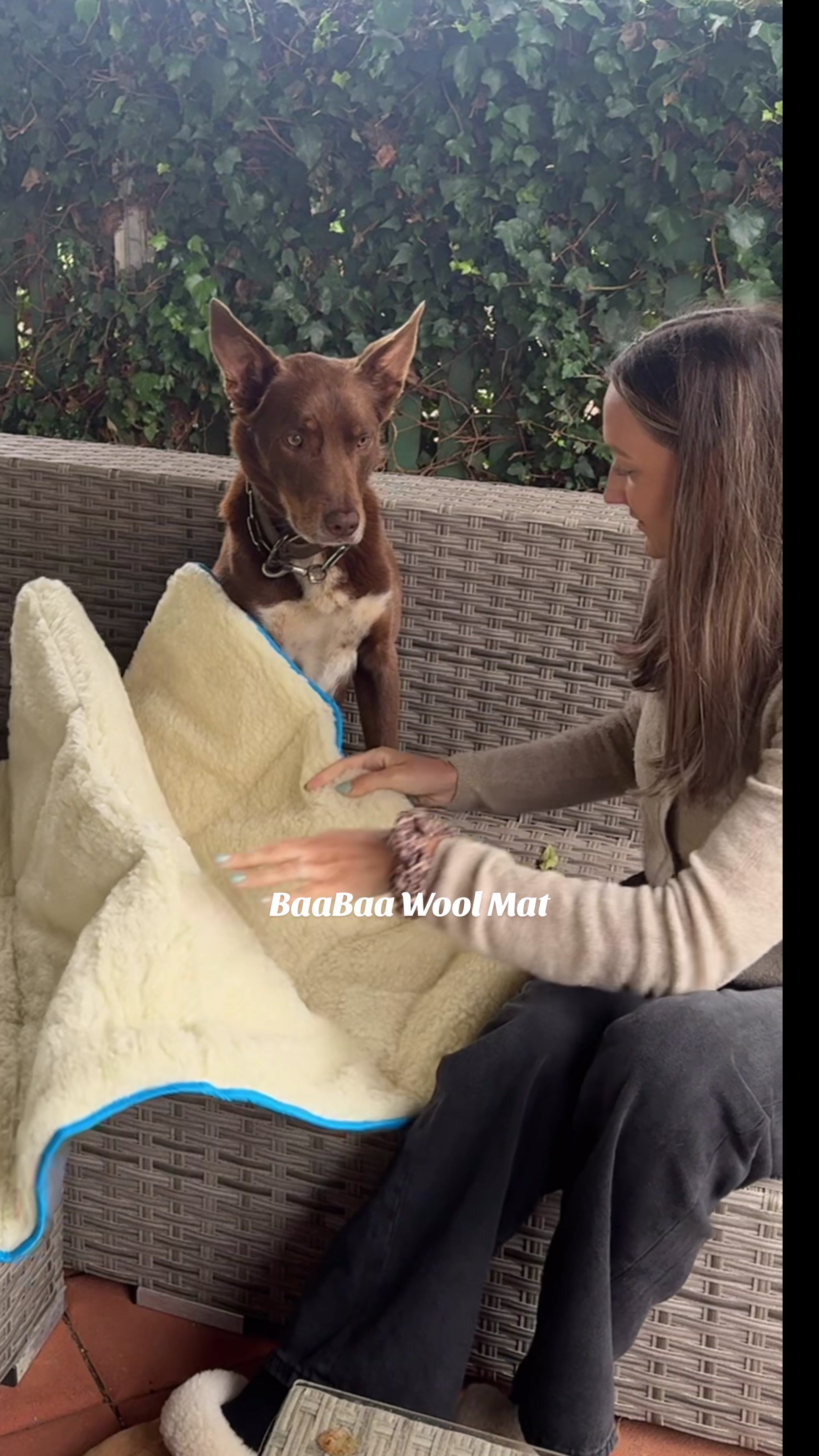 BaaBaa Pets - Wool Mat