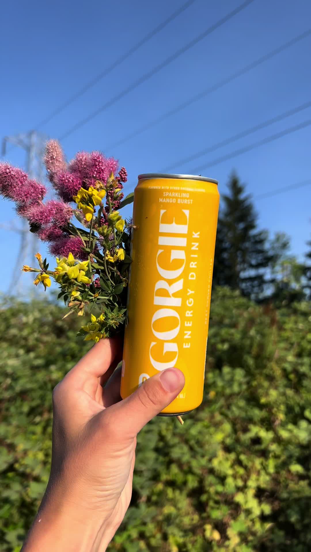 Gorgie Energy
